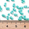 Baking Paint Glass Seed Beads X1-SEED-A033-05O-4