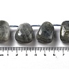 Natural Labradorite Beads Strands G-P528-E10-01-4
