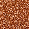 MIYUKI Delica Beads SEED-X0054-DB1804-3