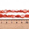 Natural White Shell Beads Strands SHEL-N036-21F-4