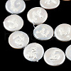 Plating Natural Freshwater Shell Beads Strands SHEL-N026-225A-3