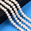 Grade AB Natural Cultured Freshwater Pearl Beads Strands PEAR-N013-05G-2
