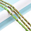 Natural Imperial Jasper Beads Strands G-P475-01H-2