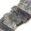 Natural Labradorite Beads Strands G-S386-D18-2