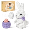DIY 3D Rabbit Knitting Kits for Beginners PW-WGDE724-01-1