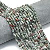 Natural African Bloodstone Beads Strands G-P575-A55-4x2mm-1