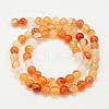 Natural Carnelian Beads Strands G-G390-6mm-10-2