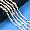Natural Cultured Freshwater Pearl Beads Strands PEAR-N014-03A-6