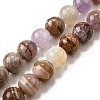 Natural Amethyst Lace Agate Beads Strands G-H312-C01-12mm-2