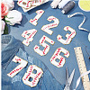  11Pcs Number 0~9 & Flat Tennis Shaped Towel Embroidery Style Cotton Iron on/Sew on Patches DIY-NB0007-60-5