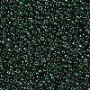 MIYUKI Round Rocailles Beads X-SEED-G007-RR0156-3