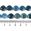 Natural Apatite Beads Strands G-C116-A28-01-5