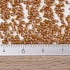 MIYUKI Delica Beads SEED-X0054-DB1734-4