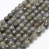 Natural Labradorite Beads Strands G-P322-30-6mm-1