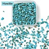 50G Natural Howlite Chip Beads G-YW0001-81-2