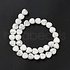 Natural Howlite Beads Strands G-B022-09C-4