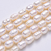 Natural Cultured Freshwater Pearl Beads Strands PEAR-S012-41B-2