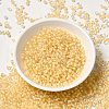 12/0 Transparent Glass Seed Beads X-SEED-F003-03C-14-2