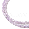 Natural Trochus Shell Beads Strands SHEL-K006-19B-3