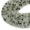 Natural Green Lodolite Quartz Beads Strands G-A260-A01-01-3