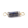 Natural Mixed Gemstone Connector Charms PALLOY-JF01885-6