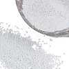 Ornaland Glass Seed Beads SEED-OL0001-04-11-1