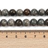 Natural Gemstone Beads Strands G-F792-C11-06-5