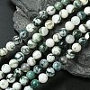 Natural Tree Agate Beads Strands G-K194-8mm-02-1
