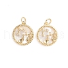 Brass Micro Pave Cubic Zirconia Pendants ZIRC-E164-36B-G-2