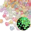 Luminous Transparent Acrylic Beads OACR-B031-13-1