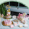 Transparent PET Tea Storage Boxes CON-WH0106-08G-6