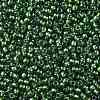 TOHO Round Seed Beads SEED-JPTR11-1006-2