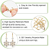 SOFPLATE 304 Stainless Steel Leverback Earring Findings STAS-SP0001-06B-6