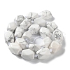Natural Howlite Beads Strands G-C182-23-02-3