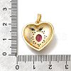 Barss Rhinestone Pendants KK-V002-08G-03-3