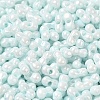 Opaque Colours Luster Glass Seed Beads SEED-B001-01A-02-3
