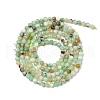Natural Chalcedony Beads Strands G-RM250104-D9-3