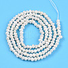 Natural Cultured Freshwater Pearl Beads Strands PEAR-N013-02I-01-3