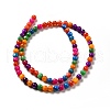 Dyed Natural Freshwater Shell Beads Strands SHEL-G014-05D-01-2