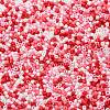 Baking Paint Glass Seed Beads SEED-S042-05B-46-3