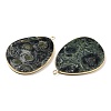 Natural Kambaba Jasper Pendants G-K347-02G-01-2