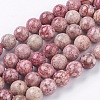 Natural Fossil Coral Beads Strands G-F563-01-10mm-1