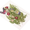 Pressed Dried Flowers DIY-YWC0001-96-4