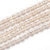Natural Cultured Freshwater Pearl Beads Strands PEAR-L033-58-01-1
