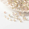 15/0 Grade A Glass Seed Beads X-SEED-A023-F15-H634-1