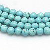 Natural Howlite Beads Strands X-TURQ-G103-10mm-01-2