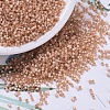 MIYUKI Delica Beads SEED-X0054-DB0622-1