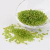 8/0 Glass Seed Beads X-SEED-A004-3mm-4-1