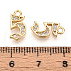 Brass Micro Pave Cubic Zirconia Charms KK-N261-104F-G-3