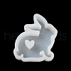 Rabbit Display Decoration DIY Silhouette Silicone Molds SIMO-H143-01-3